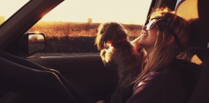 sunset and pup woman rehab with dog or pet